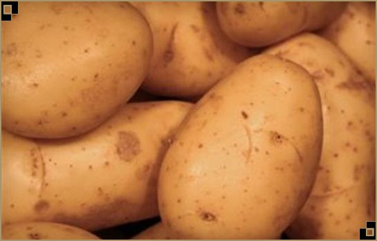 Ongeschilde aardappelen Groothandel